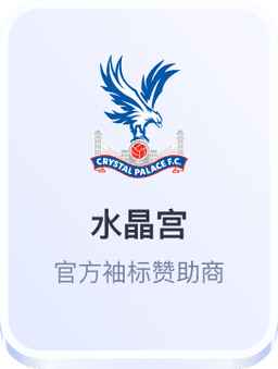 英超水晶宫赛季表现分析
